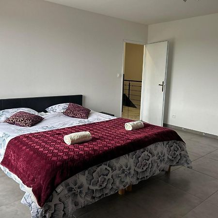Magnifique Villa Avec Piscine Beaujolais Gleizé 외부 사진